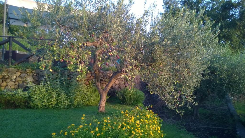 Seacily Etna House Villa Piedimonte Etneo Room photo